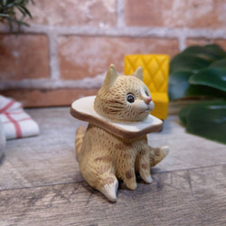 エリザベス-トースト-オレンジ色の猫 2枚目の画像