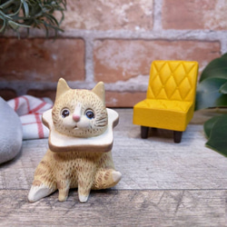 エリザベス-トースト-オレンジ色の猫 3枚目の画像
