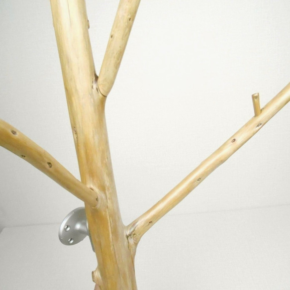 【温泉流木】枝ぶりが明るく美しい流木ツリー壁掛けフック ハンガーフック ウォールフック 流木インテリア 7枚目の画像