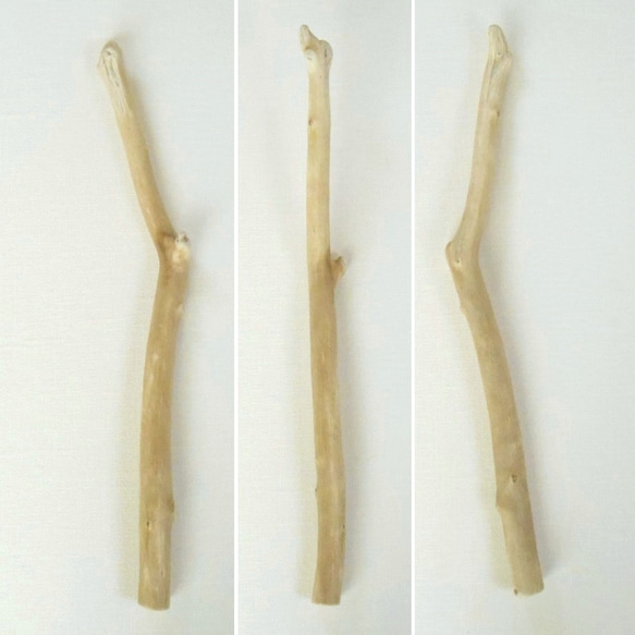 【温泉流木】グラデーション色をした枝のしっかり流木棒 流木素材 インテリア素材 木材 2枚目の画像