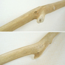 【温泉流木】グラデーション色をした枝のしっかり流木棒 流木素材 インテリア素材 木材 4枚目の画像