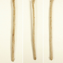 【温泉流木】直線そしてうねる細長枝の流木 流木素材 インテリア素材 木材 4枚目の画像