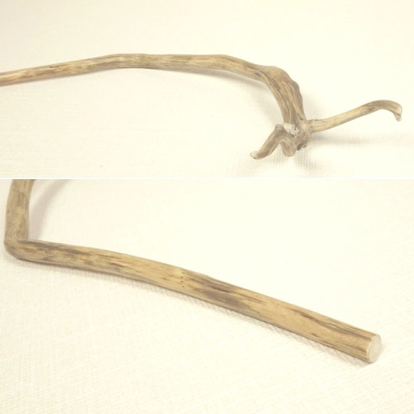 【温泉流木】生き生きとした形状のスリムな根流木 流木素材 インテリア素材 木材 3枚目の画像
