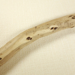 【温泉流木】点々とある枝跡がかわいいコンパクト枝流木棒 流木素材 インテリア素材 木材 4枚目の画像