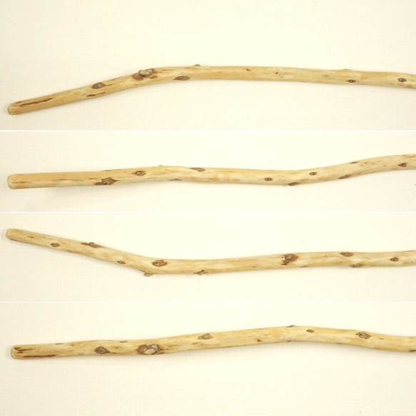 【温泉流木】美しく伸び枝跡をたくさん残した長枝流木 流木素材 インテリア素材 木材 2枚目の画像