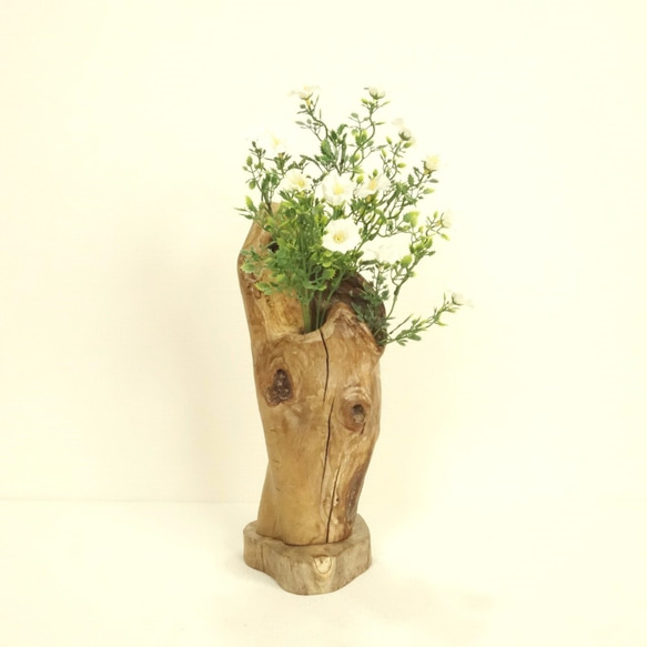 【温泉流木】芸術的にかわいい幹流木の2つ穴一輪挿し・花器 花瓶 流木インテリア 1枚目の画像