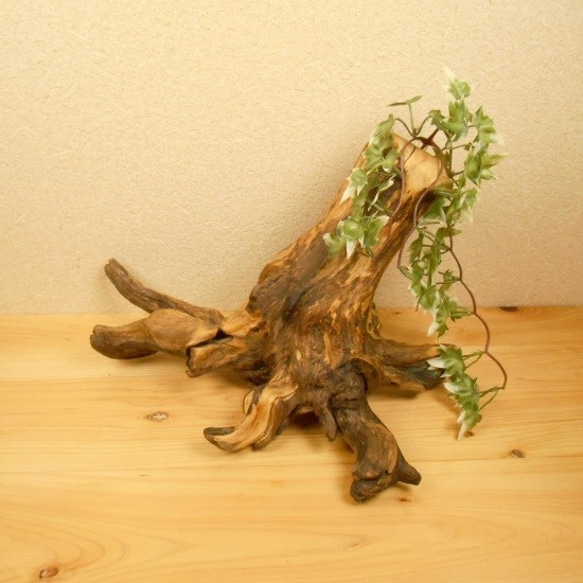 温泉流木】根が生き生きとした流木花器オブジェ 壁掛け花瓶 流木 