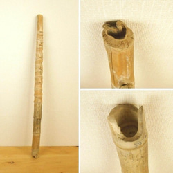【温泉流木】笛のような長い流木竹 インテリア素材 木材 2枚目の画像