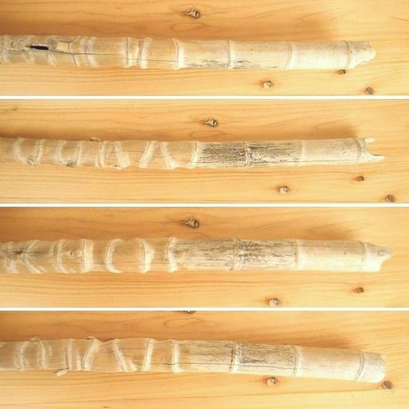 【温泉流木】笛のような長い流木竹 インテリア素材 木材 4枚目の画像
