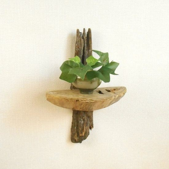 温泉流木】木の皮の流木にサルノコシカケ風丸太の花台ラック001 壁掛け