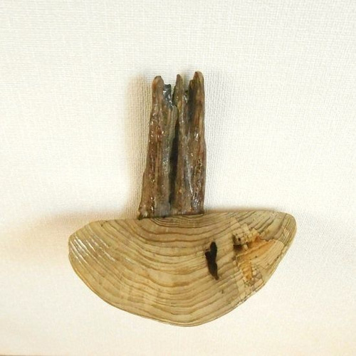 温泉流木】木の皮の流木にサルノコシカケ風丸太の花台ラック001 壁掛け