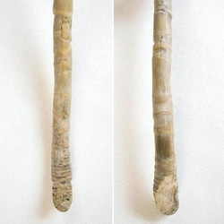 【温泉流木】細長い竹の根っこからの流木棒 流木素材 インテリア素材 木材 4枚目の画像