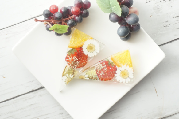 三角バレッタ 押し花 フルーツ 三角バレッタ 押し花 フルーツ