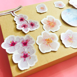 Mstandforc Cherry Blossom Stickers (10 pcs) 2枚目の画像