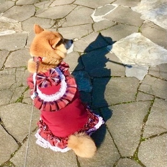 RSH3紅色格紋公主裙狗狗服裝 第6張的照片