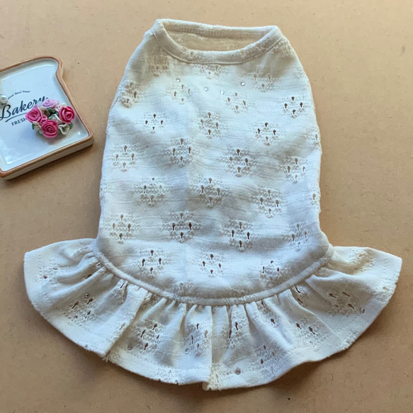 RSH2 自然蕾絲風格針織連衣裙狗服 第1張的照片