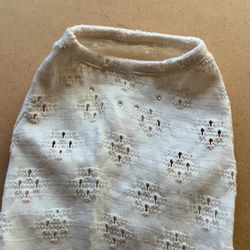 RSH2 自然蕾絲風格針織連衣裙狗服 第2張的照片