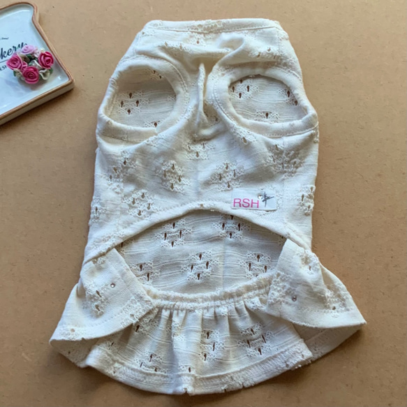 RSH2 自然蕾絲風格針織連衣裙狗服 第3張的照片