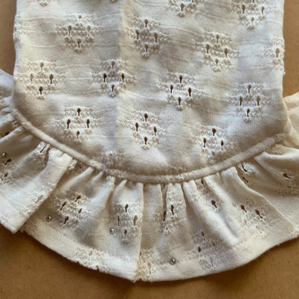 RSH2 自然蕾絲風格針織連衣裙狗服 第5張的照片