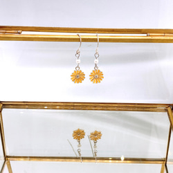 Purity Daisy 925 & Fresh Water Pearl Earrings (H200140-ESL) 第4張的照片