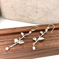 E31020 Leaves Silver 925 & Fresh Water Pearl Earrings 第1張的照片