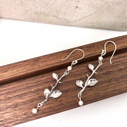 E31020 Leaves Silver 925 & Fresh Water Pearl Earrings 第2張的照片