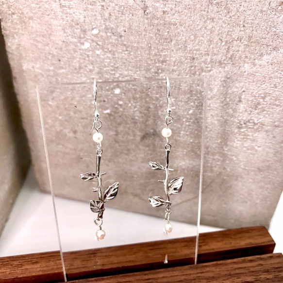 E31020 Leaves Silver 925 & Fresh Water Pearl Earrings 第4張的照片