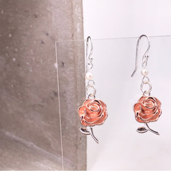 Golden Rose Silver 925 & Pearl Earring (H1809-0286) 第2張的照片