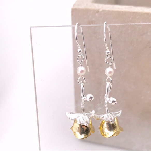 E31029 Golden Rose Silver 925 & Fresh Water Pearl Earrings 第5張的照片