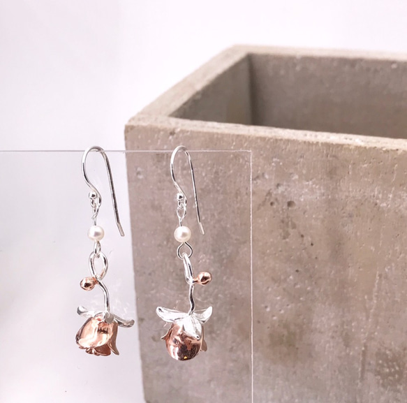 E31030 Golden Rose Silver 925 & Fresh Water Pearl Earrings 第2張的照片