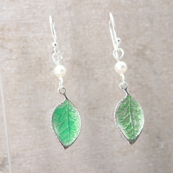 Green Leaves Silver 925 & Pearl Earrings (H1808-0199) 第1張的照片