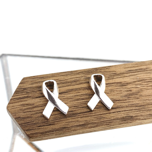 Awareness Ribbons S925 Earrings (H190001-ESL) 第1張的照片