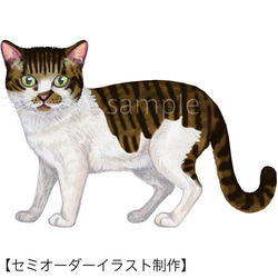 【セミオーダー】イラスト制作（猫・全身）i-fp-cat-l 1枚目の画像