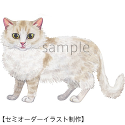 【セミオーダー】イラスト制作（猫・全身・長毛タイプ）i-fp-cat02-l 1枚目の画像