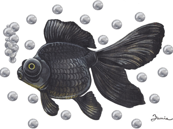 うちわ「金魚」uchiwa-kin02 3枚目の画像