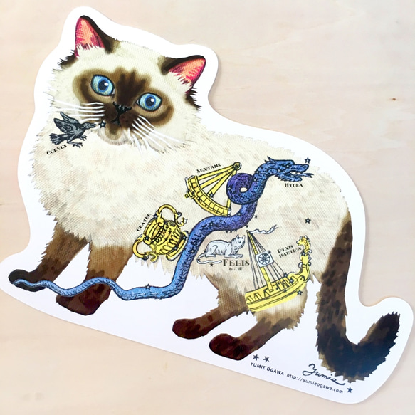 ダイカットポストカード「ペルシャ-スター」2枚セット doc-cat 03 1枚目の画像