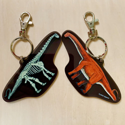 両面キーホルダー「アルゼンチノサウルス」 key-r-06 2枚目の画像