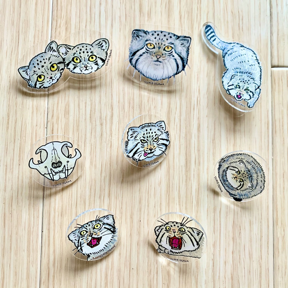 ピンバッジ「マヌルネコ」Lサイズ　pin-manul-l-01 3枚目の画像