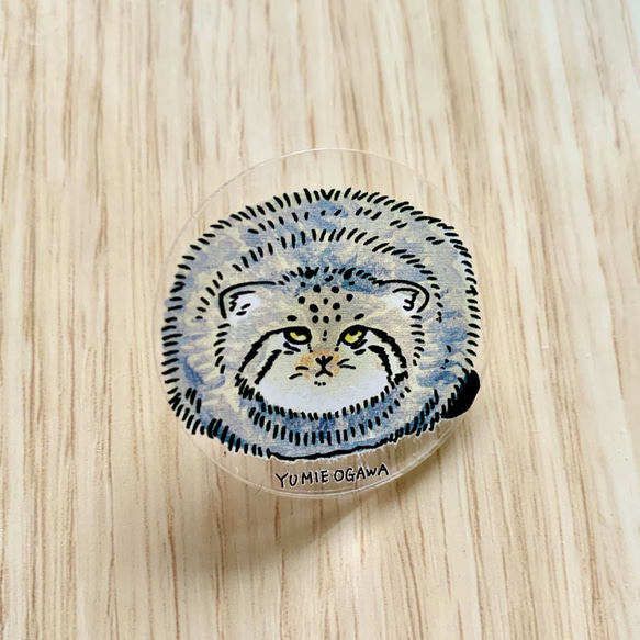 ピンバッジ「マヌルネコ」Mサイズ　pin-manul-m-04 1枚目の画像