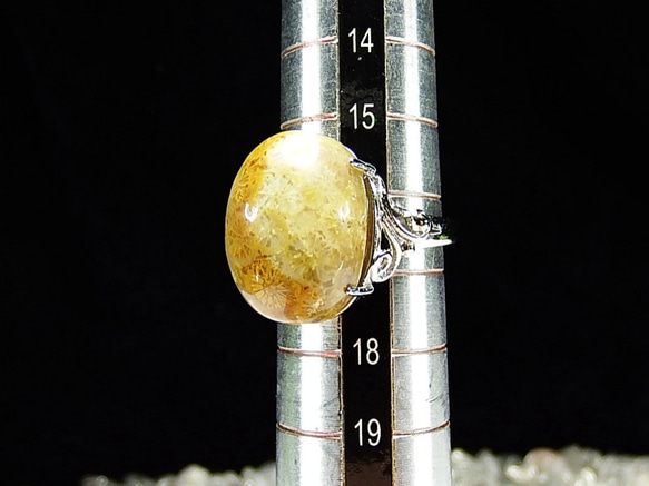 菊花石コーラル化石指輪リングAAA天然石一点物16.5号石街U0135 4枚目の画像
