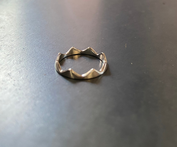 サージカルステンレスの王冠リング 指輪・リング aniron 通販 12228021