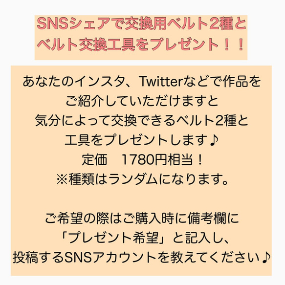 SNSシェアで交換用ベルト2種と ベルト交換工具をプレゼント！！ 1枚目の画像