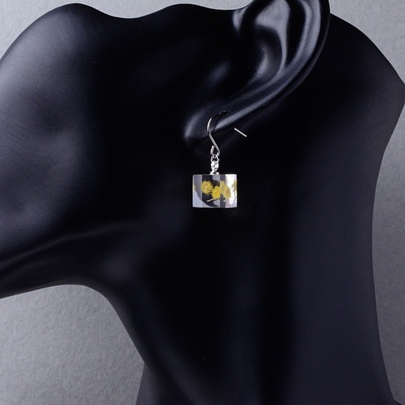 含羞草鉤耳環鈦（免費禮品包裝，生日禮物，留言卡） 第1張的照片
