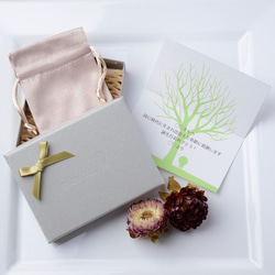 含羞草鉤耳環鈦（免費禮品包裝，生日禮物，留言卡） 第5張的照片