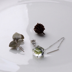 西蘭花美國耳環和施華洛世奇螺柱耳環（免費禮品包裝，留言卡，生日禮物） 第3張的照片