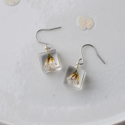 Hook Earrings Metallacia 鈦金屬禮物生日禮物禮物包裝婚禮被稱為 第4張的照片