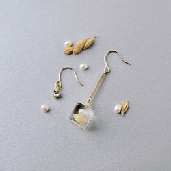 [10月誕生石色蛋白石]施華洛世奇和珍珠和米色穿孔/耳環（包裝，生日禮物） 第2張的照片