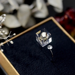 [十月誕生石彩色蛋白石] Pilite和施華洛世奇前叉環（免費禮物包裝，生日禮物） 第2張的照片