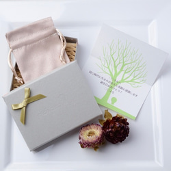 立方氧化鋯小項鍊不銹鋼 [定做] 禮物 生日禮物 禮物包裝 婚禮 第5張的照片