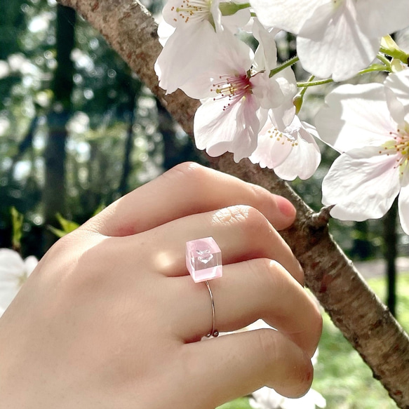 【特集掲載】桜色が浮かぶリング ジルコニア  シンプル レジン シルバーカラー ギフト 誕生日プレゼント 結婚式 2枚目の画像